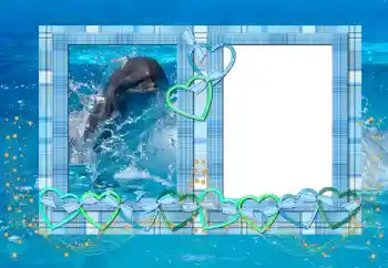 Photo effect from category Summer № 114439