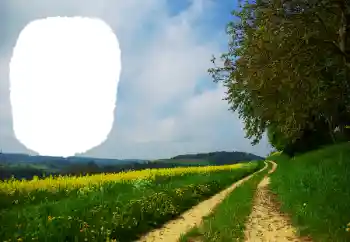 Photo effect from category Summer № 114551 Photo effect from category Summer № 114551