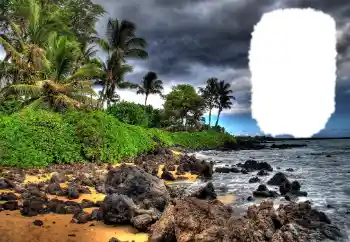 Photo effect from category Summer № 114573 Photo effect from category Summer № 114573