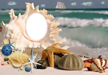 Photo effect from category Summer № 115806 Photo effect from category Summer № 115806