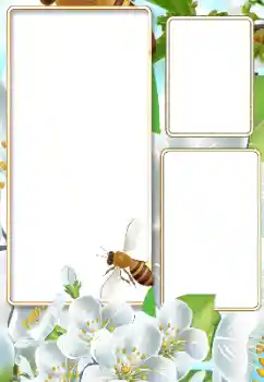 Photo effect from category Summer № 116125