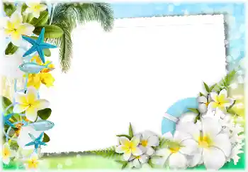 Photo effect from category Summer № 117734