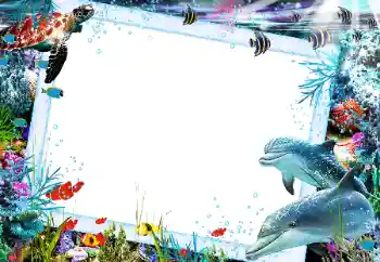 Photo effect from category Summer № 121106