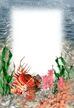 Photo effect from category Summer № 121109