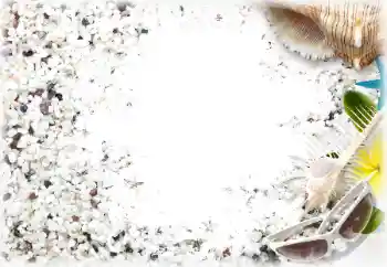 Photo effect from category Summer № 122178