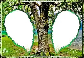 Photo effect from category Summer № 123182