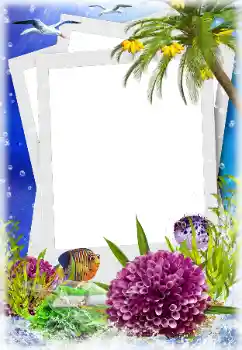 Photo effect from category Summer № 124280