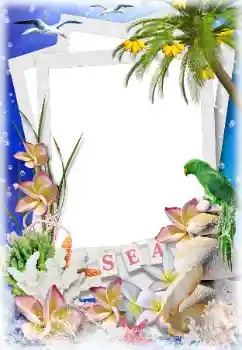 Photo effect from category Summer № 124282