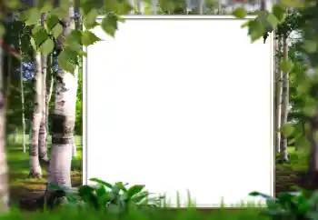 Photo effect from category Summer № 128567