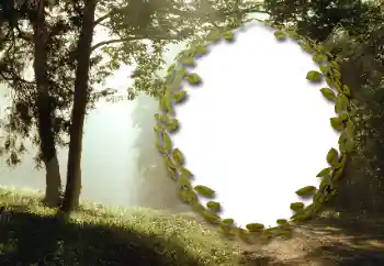 Photo effect from category Summer № 130985