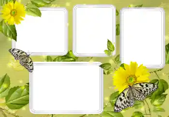 Photo effect from category Summer № 131450