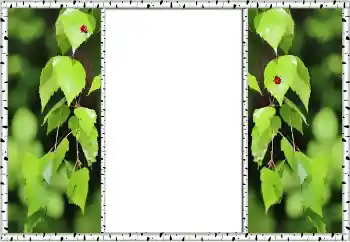 Photo effect from category Summer № 132875