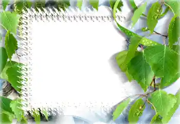 Photo effect from category Summer № 132911 Photo effect from category Summer № 132911