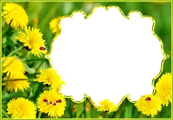 Photo effect from category Summer № 132994 Photo effect from category Summer № 132994