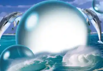 Photo effect from category Summer № 138513 Photo effect from category Summer № 138513