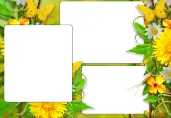 Photo effect from category Summer № 138523 Photo effect from category Summer № 138523