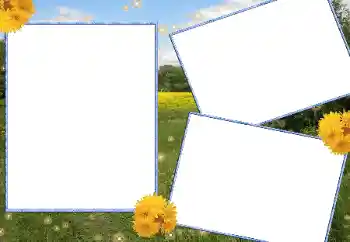 Photo effect from category Summer № 13915 Photo effect from category Summer № 13915