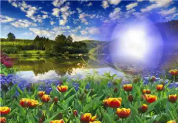 Photo effect from category Summer № 13960