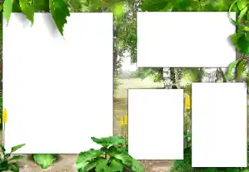 Photo effect from category Summer № 141163 Photo effect from category Summer № 141163