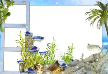 Photo effect from category Summer № 142298