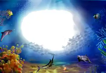 Photo effect from category Summer № 142470 Photo effect from category Summer № 142470