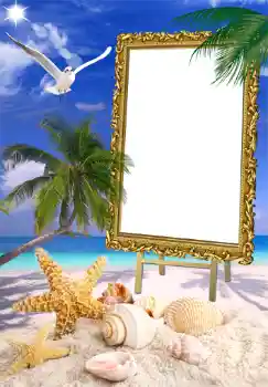 Photo effect from category Summer № 1471