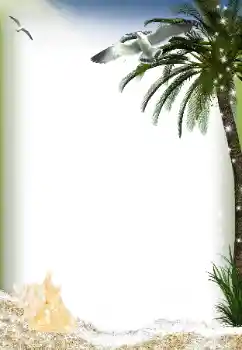 Photo effect from category Summer № 149037 Photo effect from category Summer № 149037