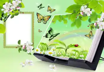 Photo effect from category Summer № 150647 Photo effect from category Summer № 150647