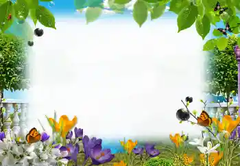 Photo effect from category Summer № 153205 Photo effect from category Summer № 153205