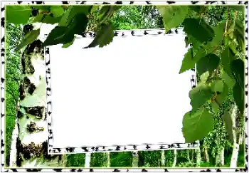 Photo effect from category Summer № 154334 Photo effect from category Summer № 154334