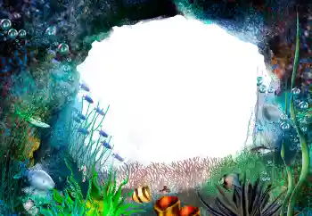 Photo effect from category Summer № 155944 Photo effect from category Summer № 155944