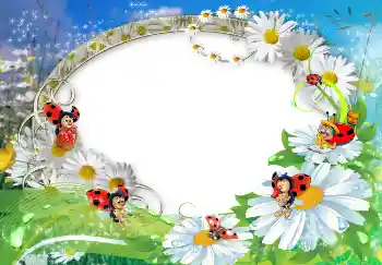 Photo effect from category Summer № 1572