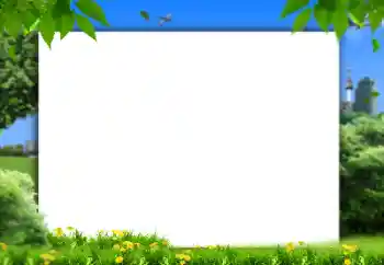 Photo effect from category Summer № 158421 Photo effect from category Summer № 158421