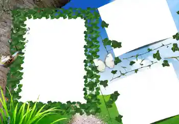 Photo effect from category Summer № 160662 Photo effect from category Summer № 160662