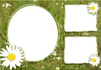 Photo effect from category Summer № 166475 Photo effect from category Summer № 166475