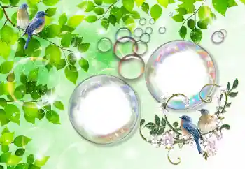 Photo effect from category Summer № 167832 Photo effect from category Summer № 167832