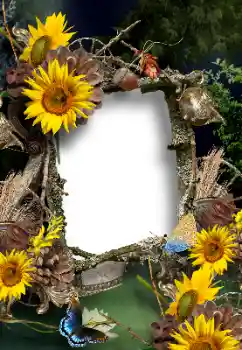 Photo effect from category Summer № 167902 Photo effect from category Summer № 167902