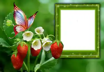 Photo effect from category Summer № 168002 Photo effect from category Summer № 168002