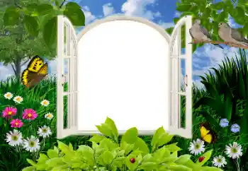 Photo effect from category Summer № 16945 Photo effect from category Summer № 16945