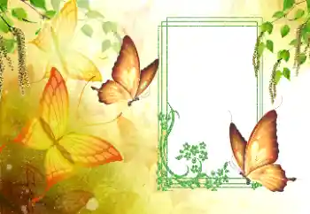 Photo effect from category Summer № 179561 Photo effect from category Summer № 179561