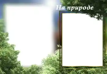 An inscription on the frame: On the nature An inscription on the frame: On the nature