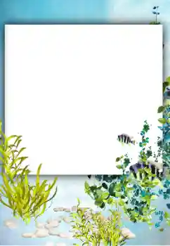 Photo effect from category Summer № 182182 Photo effect from category Summer № 182182