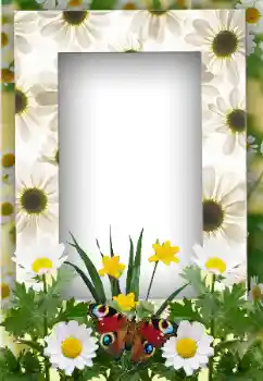 Photo effect from category Summer № 19247