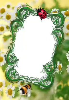 Photo effect from category Summer № 2253