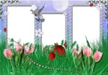 Photo effect from category Summer № 2396