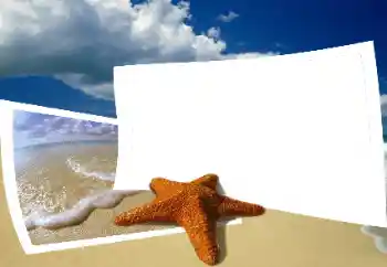 Photo effect from category Summer № 25435