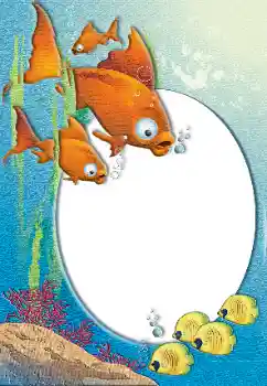 Photo effect from category Summer № 26492