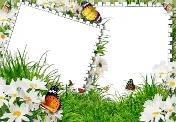 Photo effect from category Summer № 31861