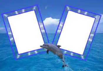 Photo effect from category Summer № 39109