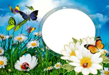 Photo effect from category Summer № 40377